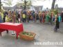 Palmsonntag Solothurn
