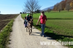 Eindrücke von den Touren