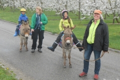 Unterwegs mit den Eseln